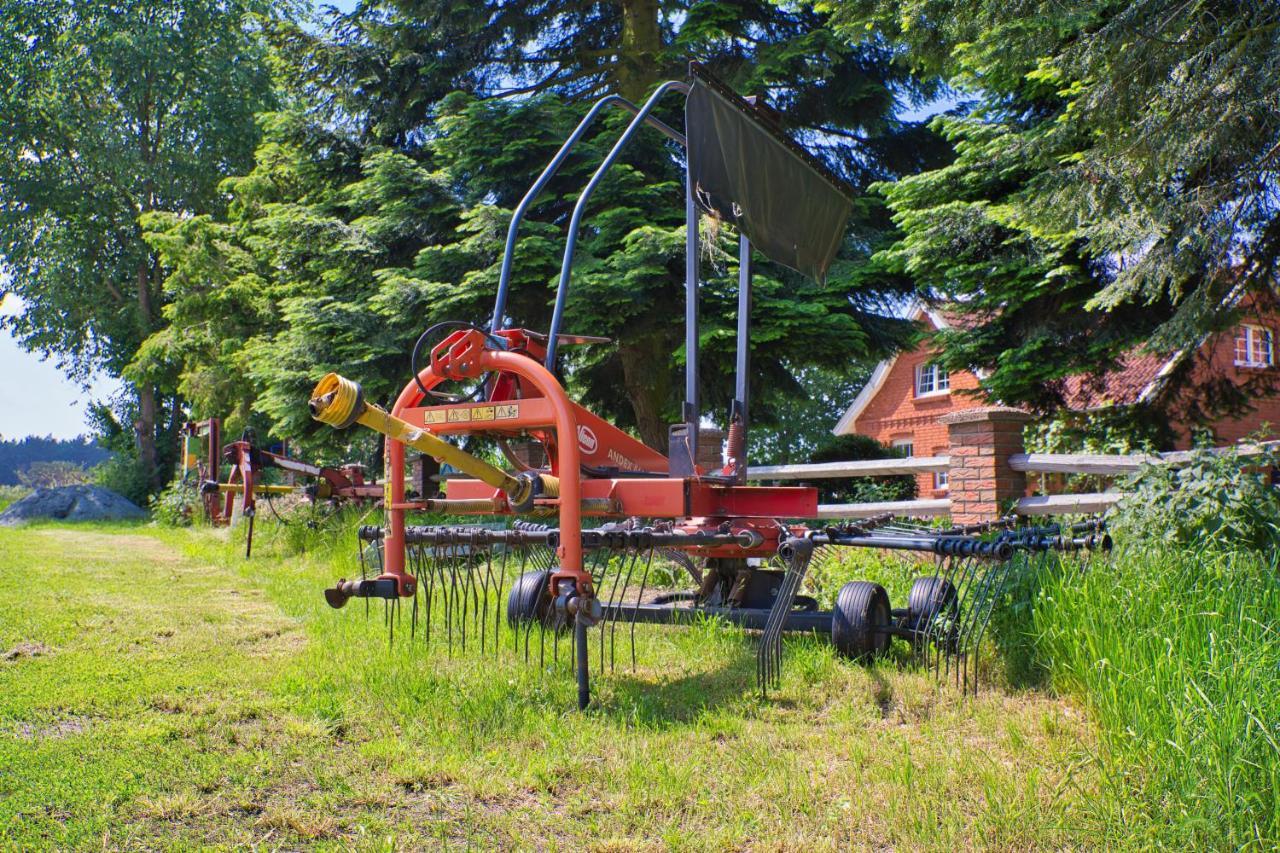Villa Bauernhofurlaub Bei Familie Bokeloh Kirchlinteln Exterior foto